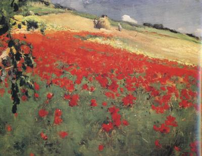 William blair bruce Landscape with Poppies (nn02) Norge oil painting art